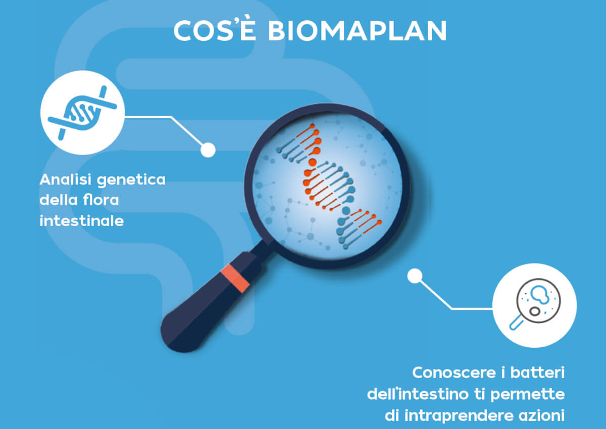 piove-di-sacco-biomaplan